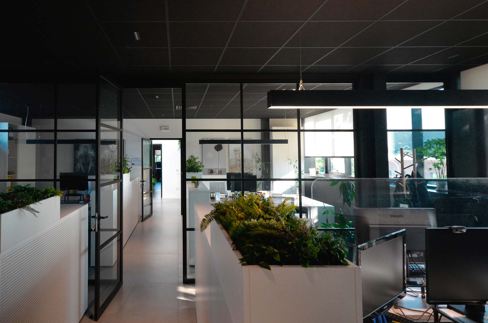 Piante decorative in vasi bianchi negli uffici Sapiselco